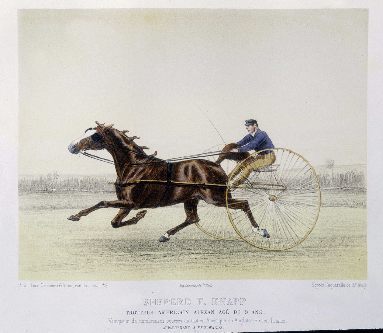 Lovaglás: F. Knapp juhász, ügető – a „” kentaurban”” alkotó: Unknown artist