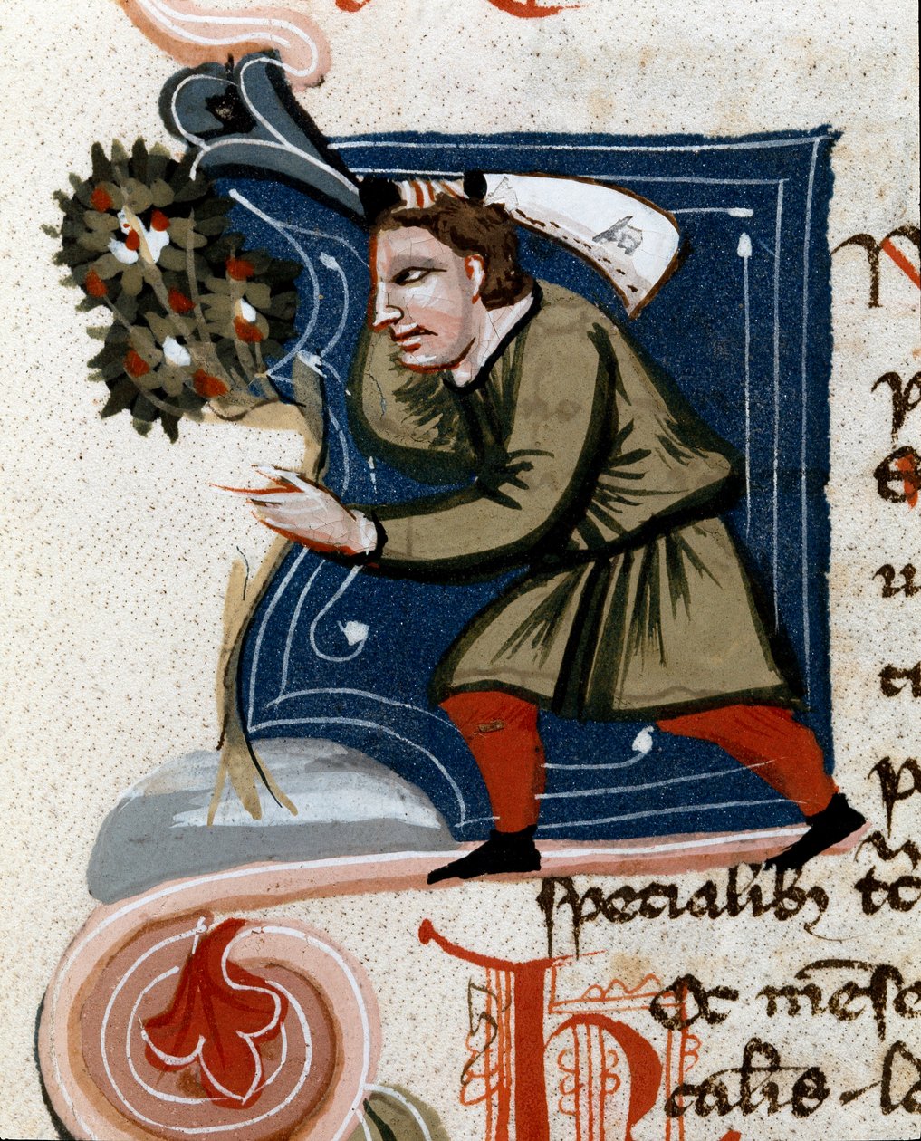 Kertészet: fa cserepes. Részlet. Kéziratos oldal (MS.s.vi) Pietro de Crescenzi "" Agrárcsemege "" (Crescent Stone vagy Crescens Stone) (1233-1320) 14. századi Cesena, Biblioteca Malatestiana alkotó: Unknown artist