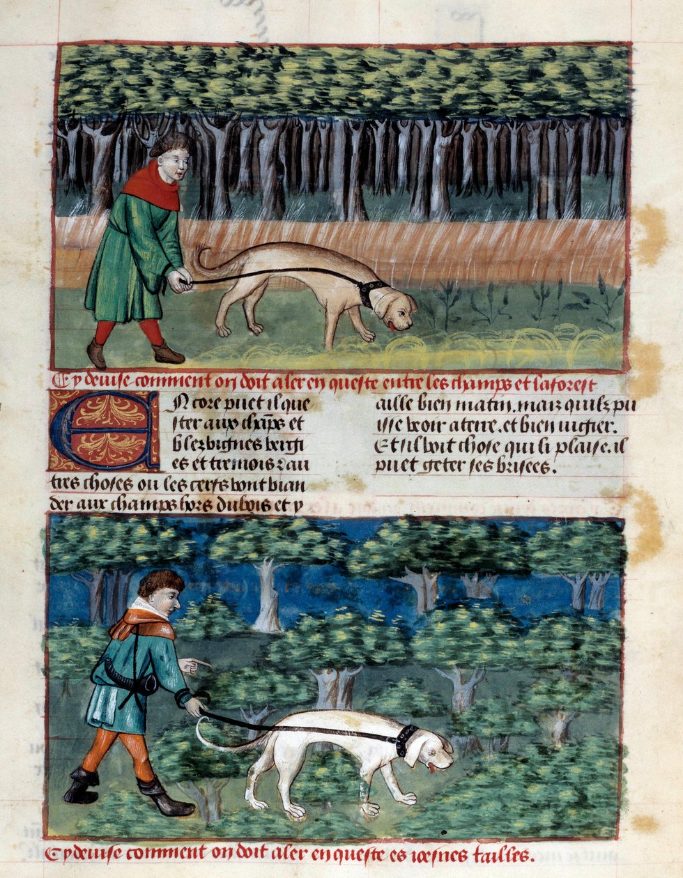 Hogyan viselkedjünk a kutyákkal Miniatűr Gaston III Phoebus, Foix grófja, Medve ura (1331-1391) „A vadászat könyvéből” alkotó: Unknown artist