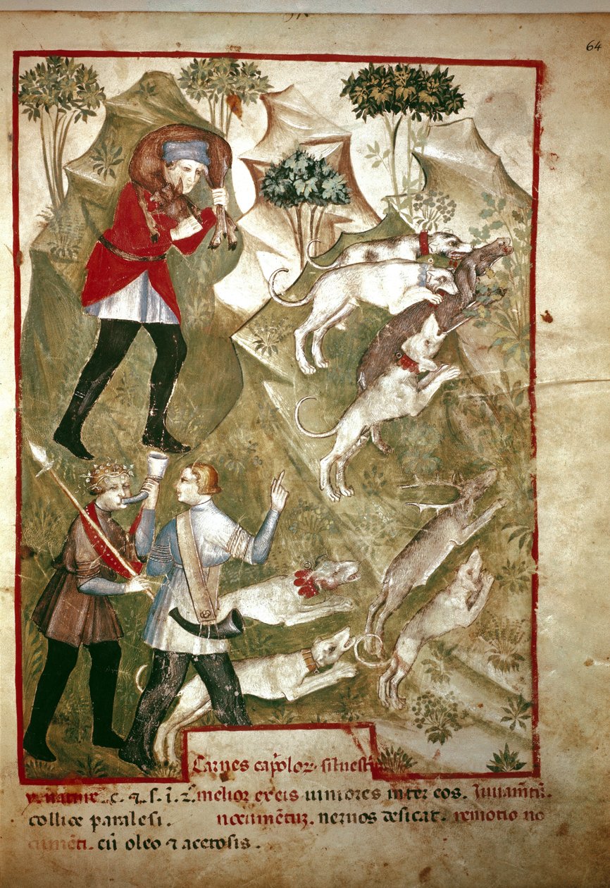 Vadászat (miniatűr, XIV. század) alkotó: Unknown artist