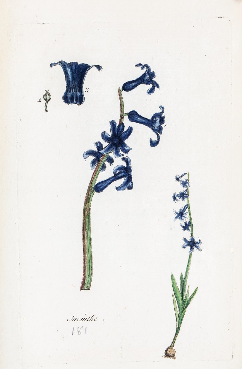  alkotó: Unknown artist