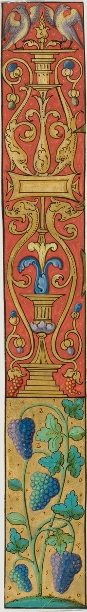 Illuminált szegély szőlővel, madarakkal és groteszkekkel egy kéziratból alkotó: Unknown artist