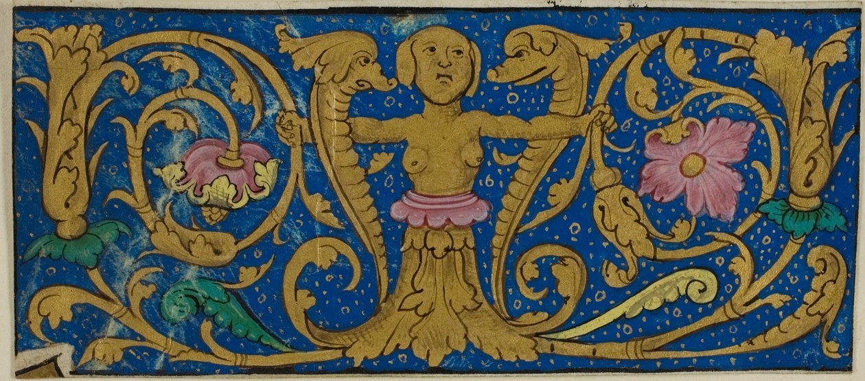 Illuminált szegély groteszkekkel és növényvilággal egy kéziratból alkotó: Unknown artist