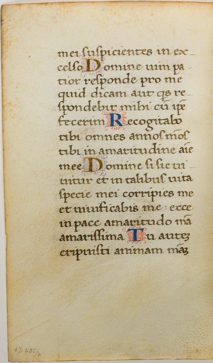 Illuminált kéziratos levél alkotó: Unknown artist