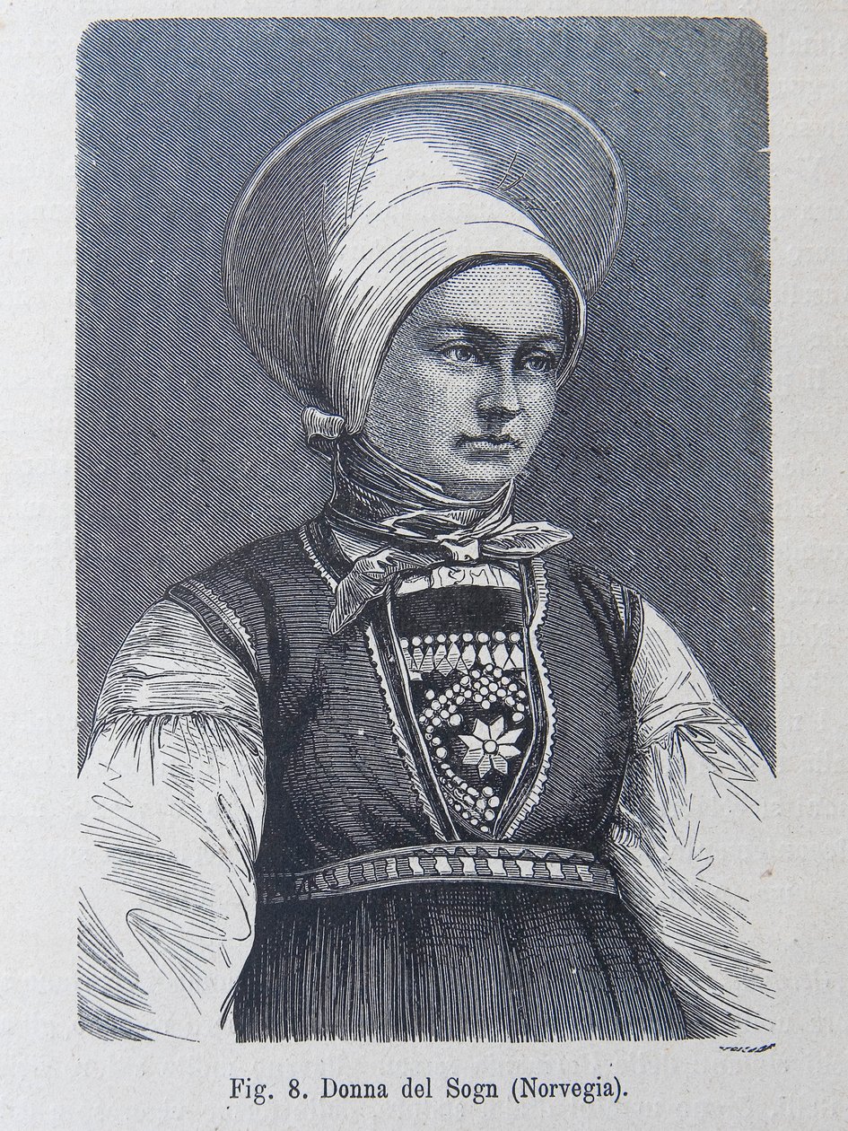 Illusztráció: Louis Figuier "Az emberi faj". alkotó: Unknown artist