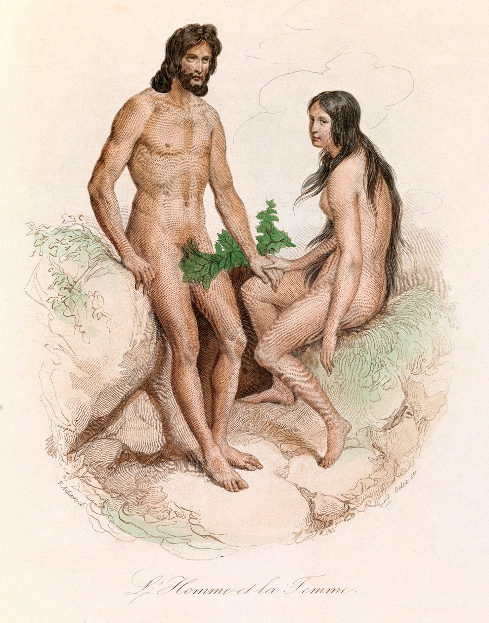 Illusztráció a "Buffon összes művei" című könyvből: Buffon: Az ember természettörténete: Buffon: Férfi és nő (metszet) alkotó: Unknown artist