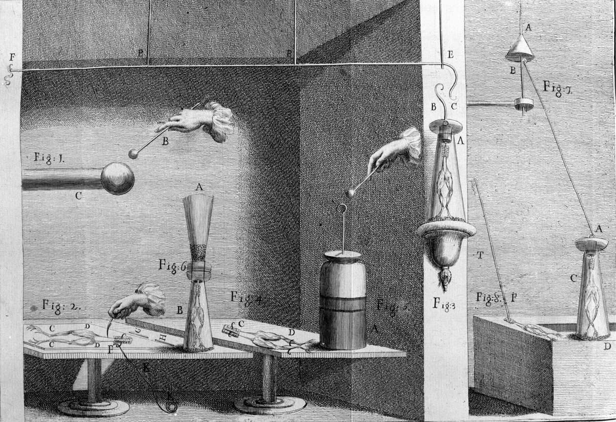 Luigi Galvani olasz fizikus és orvos (1737-1798) kísérleteinek illusztrációja, amely elmagyarázza a béka lábait mozgató elektromos áram áthaladását. alkotó: Unknown artist