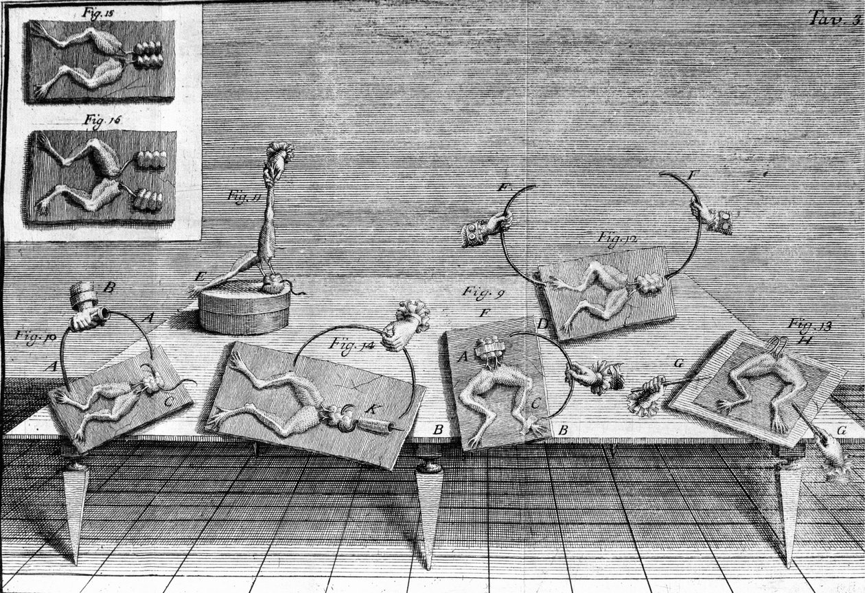 Luigi Galvani olasz fizikus és orvos (1737-1798) kísérleteinek illusztrációja, amely elmagyarázza a béka lábait mozgató elektromos áram áthaladását. alkotó: Unknown artist