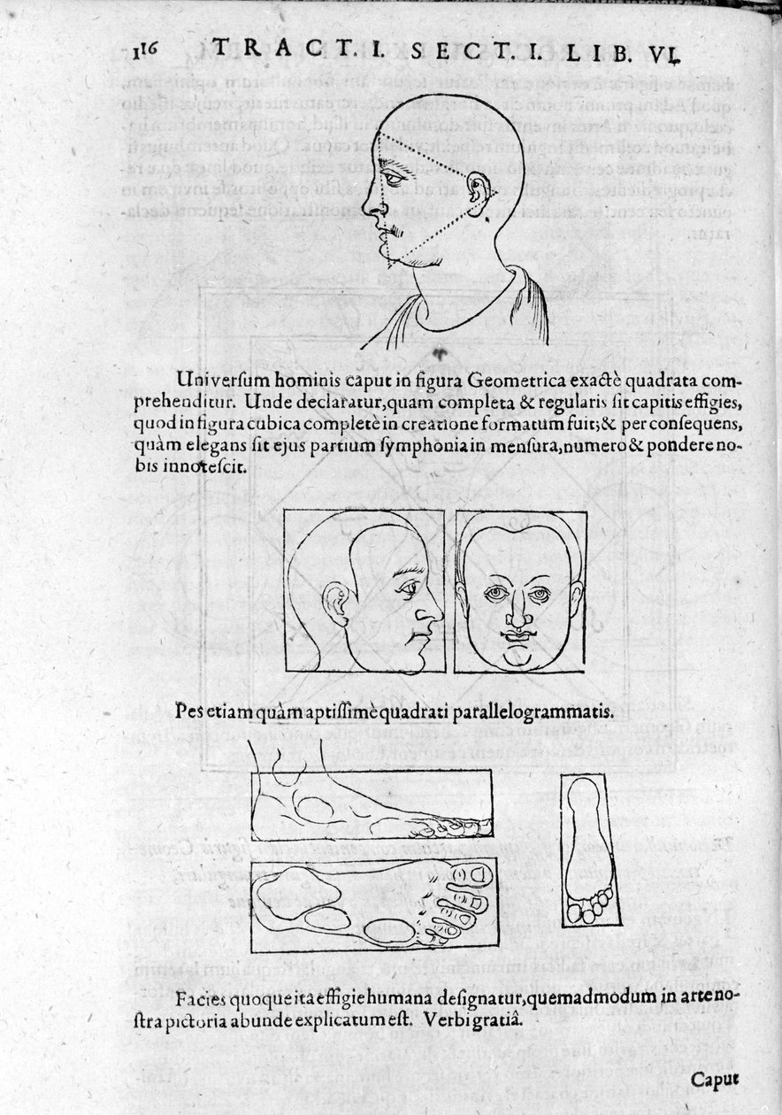 A fiziognómia képe Robert Fludd (Robertus de Waves) "Collectio Operum"-jából. London 1617. alkotó: Unknown artist