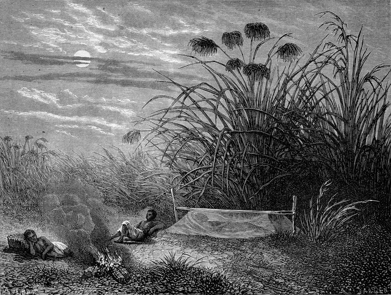 In Masoumbo: Livingstone szúnyogháló - "" Livingstone utolsó utazása 1866-1873"" in "" Tour du Monde"", 2. szem. 1875 alkotó: Unknown artist