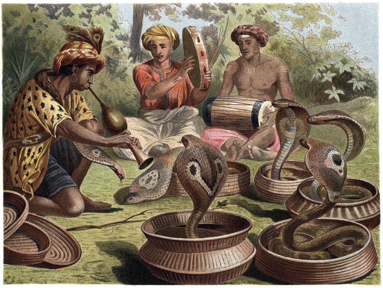 Indiai kobra – Az indiai kobra alkotó: Unknown artist