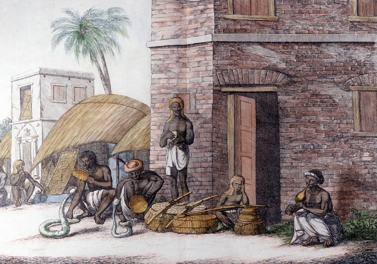 Indiai kultúra és civilizáció: Kígyóbűvölők Indiában. alkotó: Unknown artist