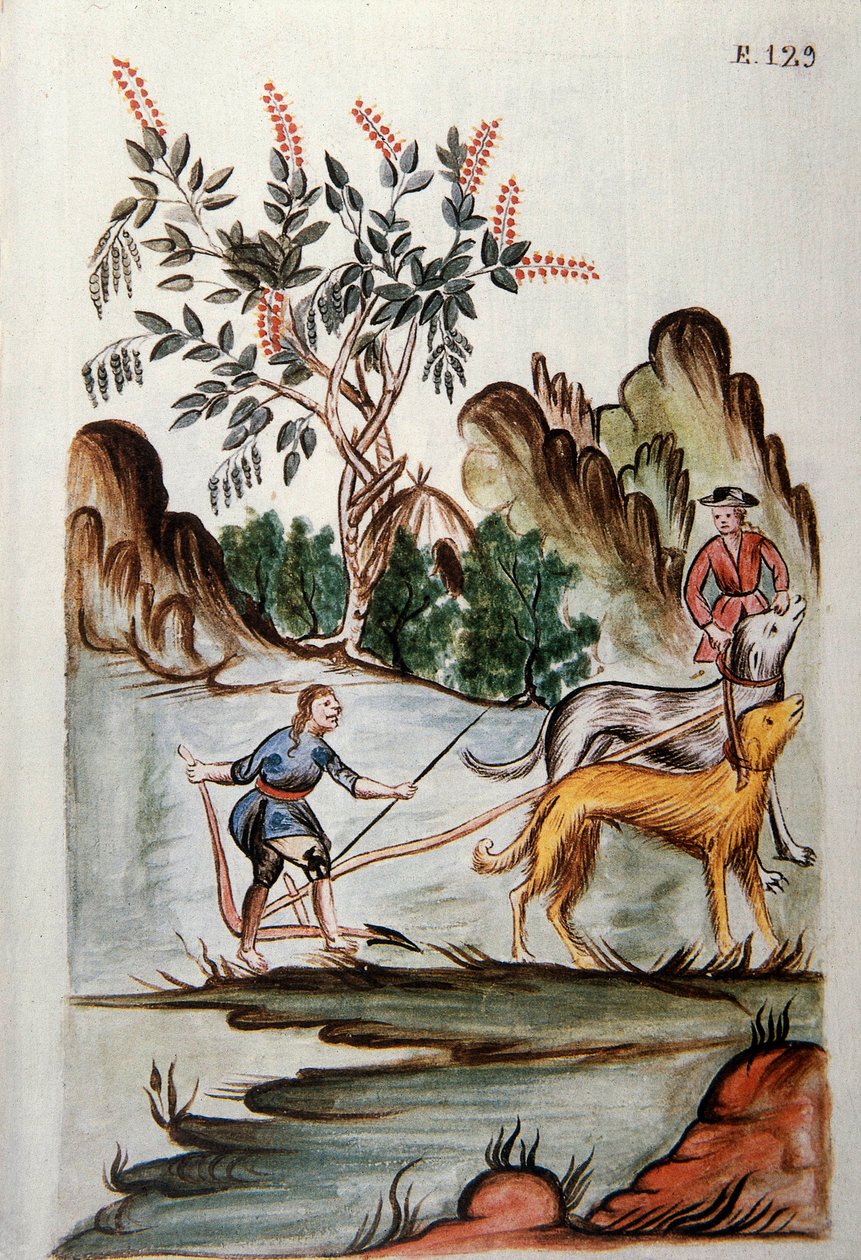 Indiánok szántóföldön kutyákkal, Baltazar Martinez Companion és Bujanda, Trujillo püspöke (1782-1785) „Trujillo del Peru” vagy „Codex Martinez Companion” című könyvéből alkotó: Unknown artist
