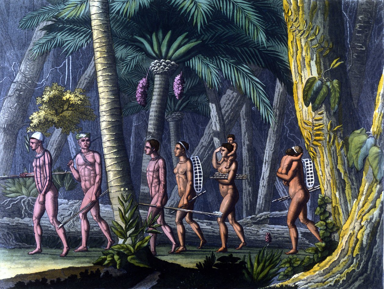 Puris indiánok az erdőben (Brazília) - „Az ősi és modern jelmezben” Ferrario, szerk. Milano alkotó: Unknown artist