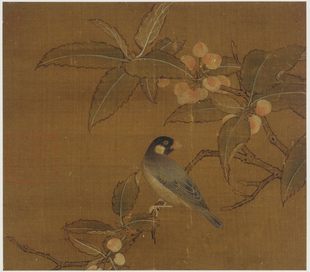 Java Sparrow egy bogyó ágon alkotó: Unknown artist