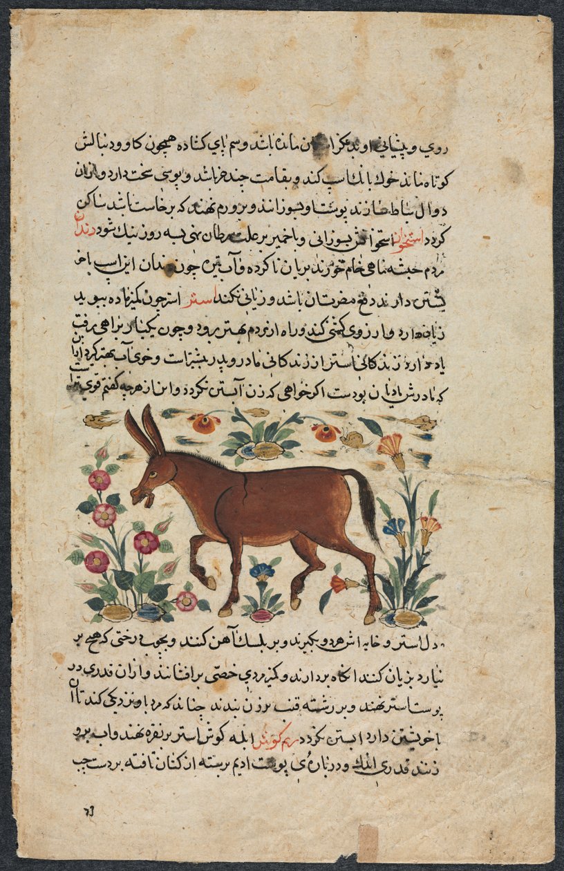 Egyéb (lelet), egy nezhantami szereposztásból (kiváló könyv érkezik) Shahmarda Ibn Abi al-Khairtól (forsa) alkotó: Unknown artist