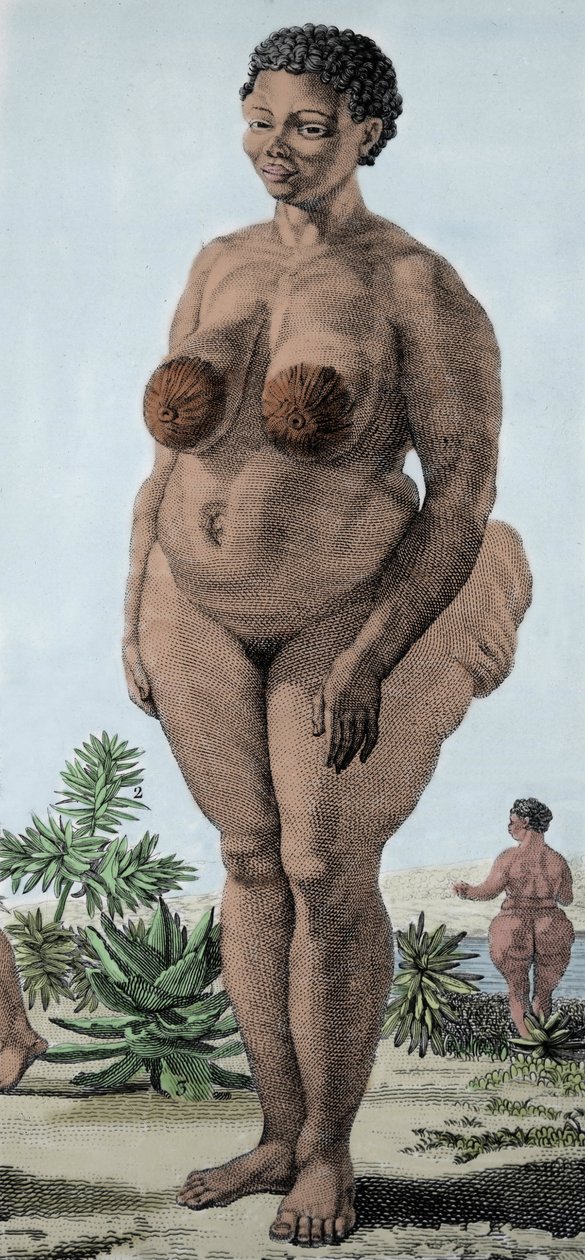 La Venus Hottentote, Bochiman fajtájú nő; (The Hottentot Venus,) 1815-ös metszet. alkotó: Unknown artist