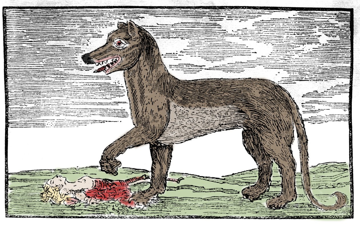La bete du Gevaudan metszet „Szent Jakab krónikájából” alkotó: Unknown artist