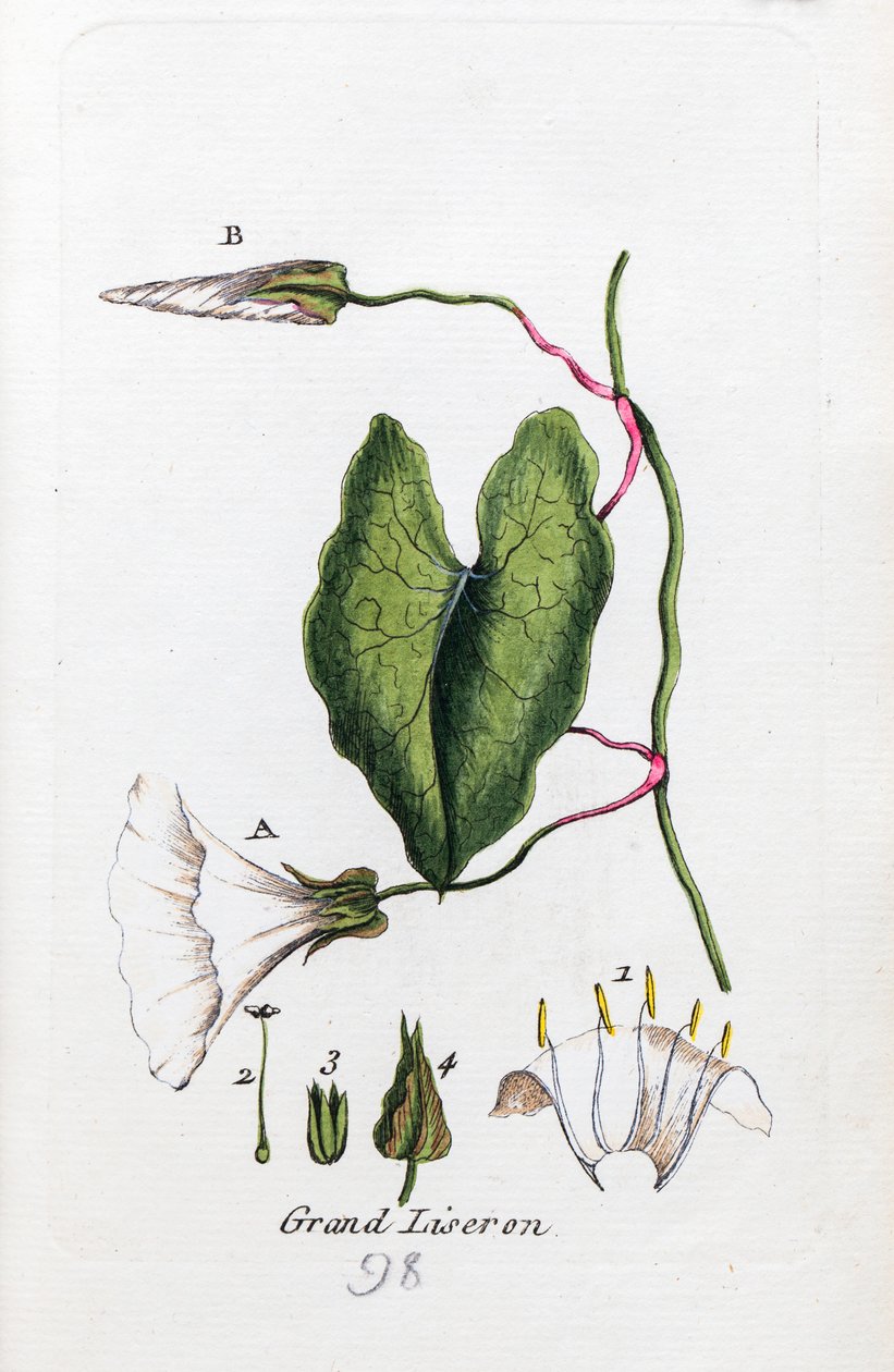  alkotó: Unknown artist