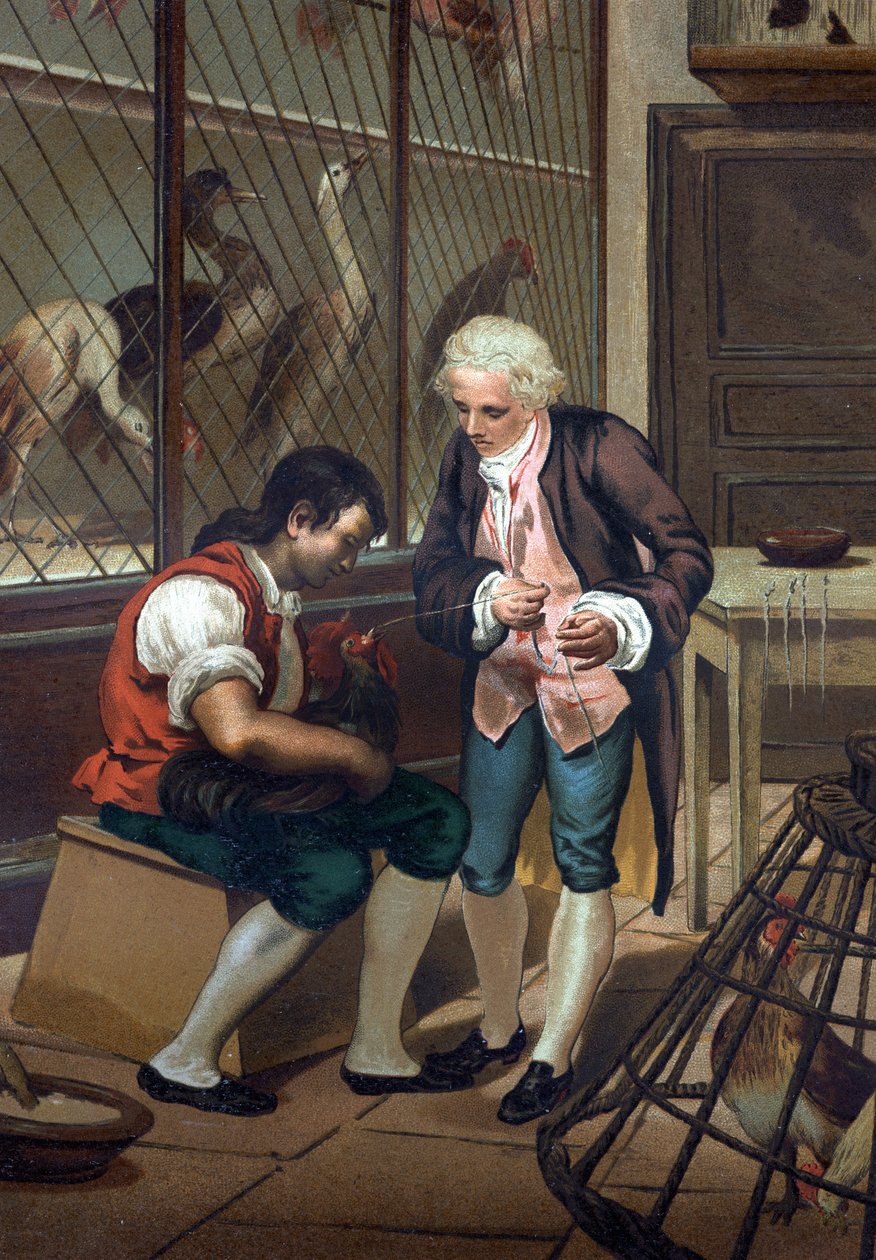 Lazzaro Spallanzani (vagy Spalanzani alkotó: Unknown artist