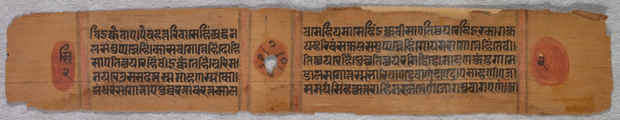 Levél egy dzsain kéziratból: Kalpa-sutra (recto) alkotó: Unknown artist