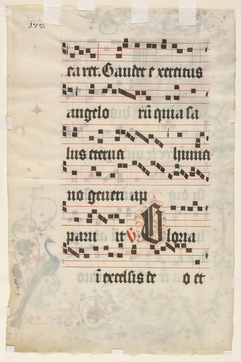 Levél egy antifóniából: szöveg (verso) alkotó: Unknown artist