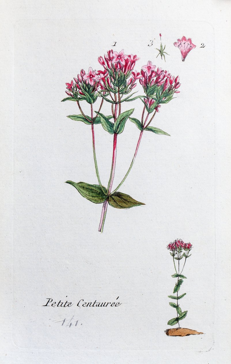  alkotó: Unknown artist