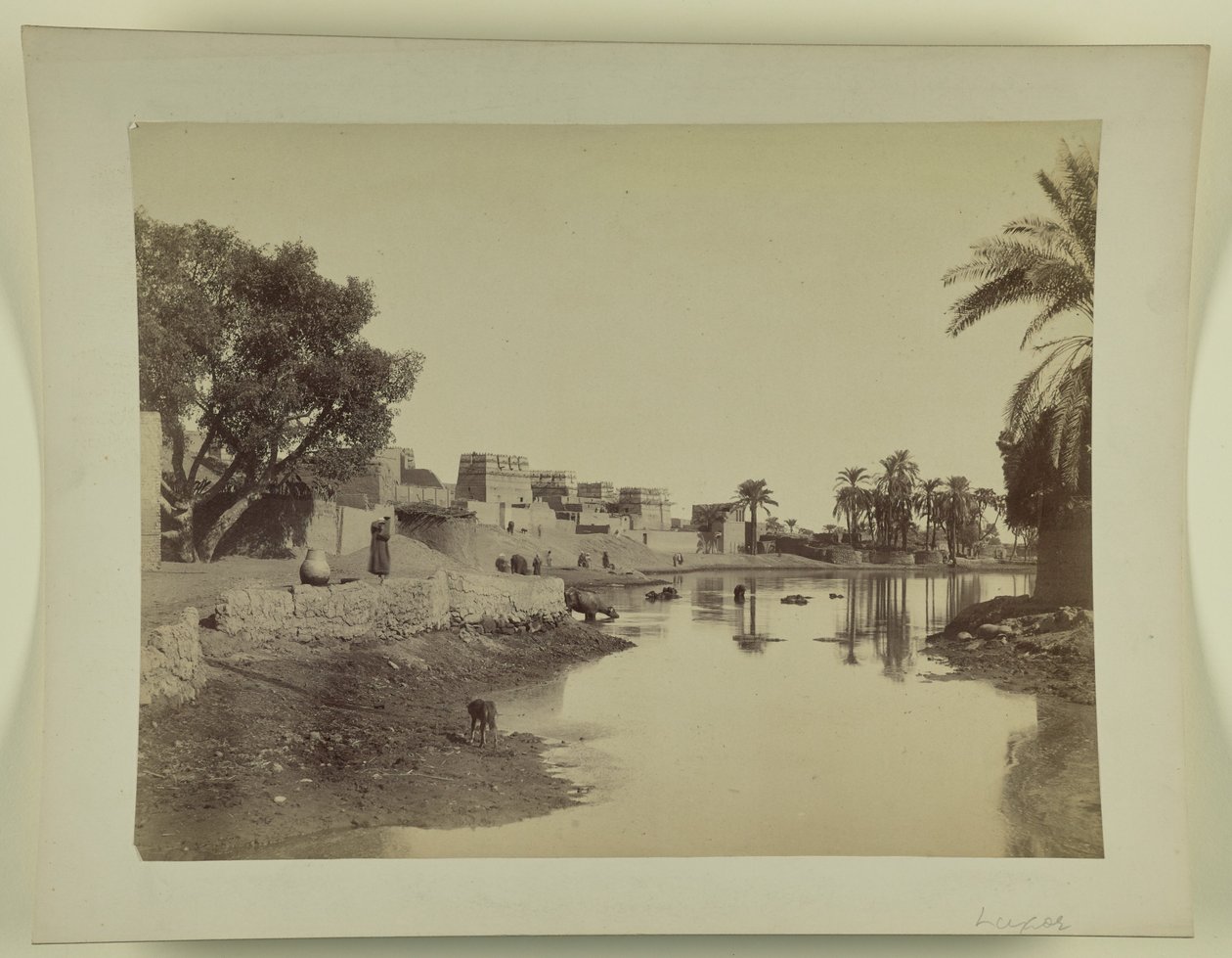 [Luxor] alkotó: Unknown artist