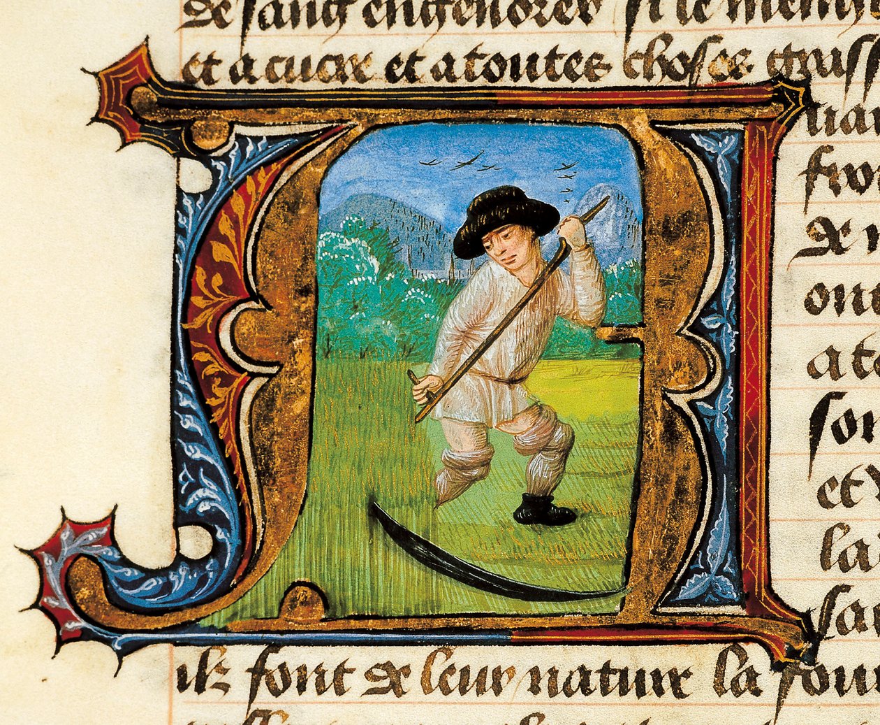 Gyógyszer: búzát kaszáló paraszt. Miniatűr Aldebrande de Florence (Aldebrando) Az orvostudományról szóló traktátusából alkotó: Unknown artist