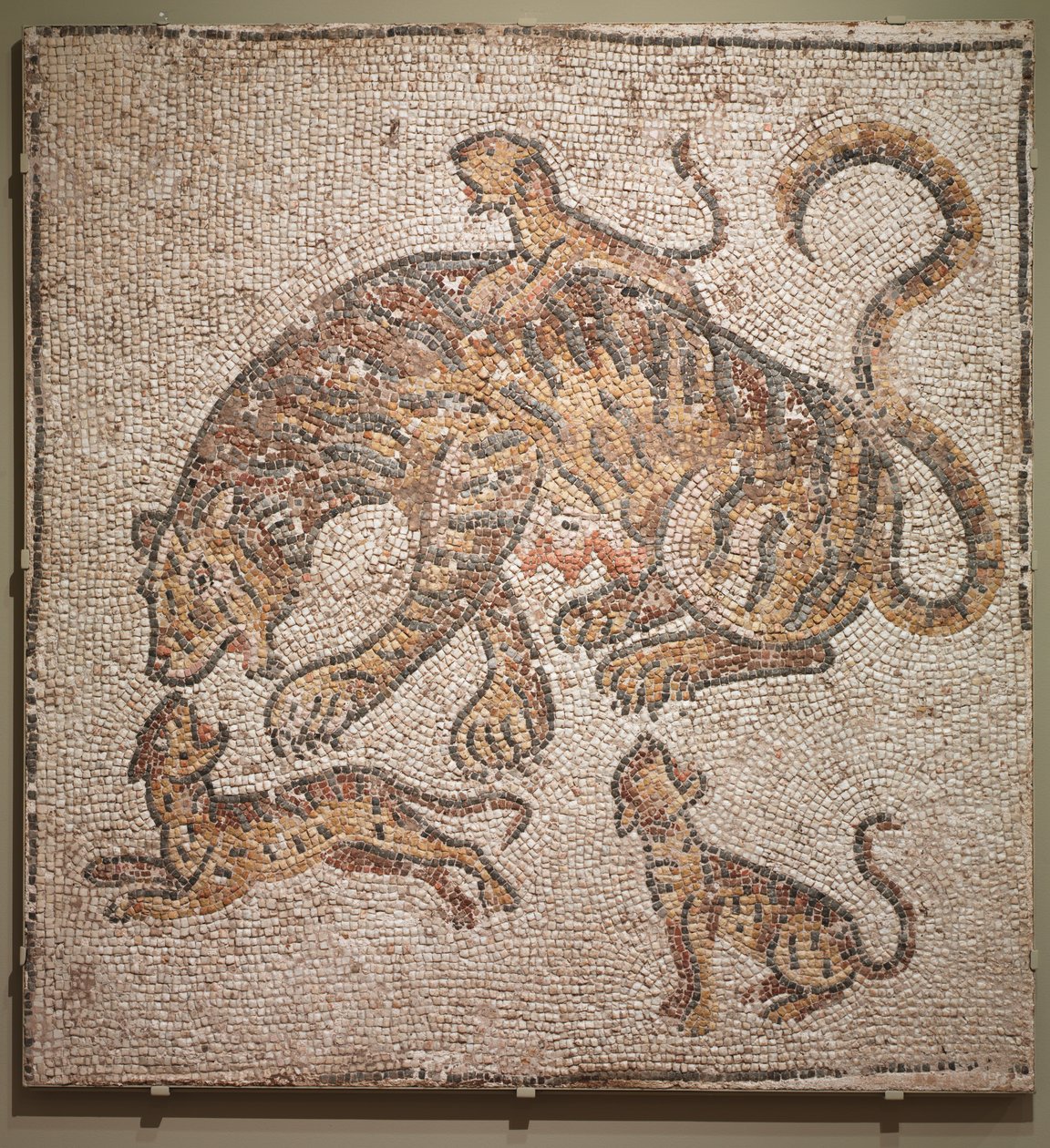 Tigris és kölykök mozaikja alkotó: Unknown artist