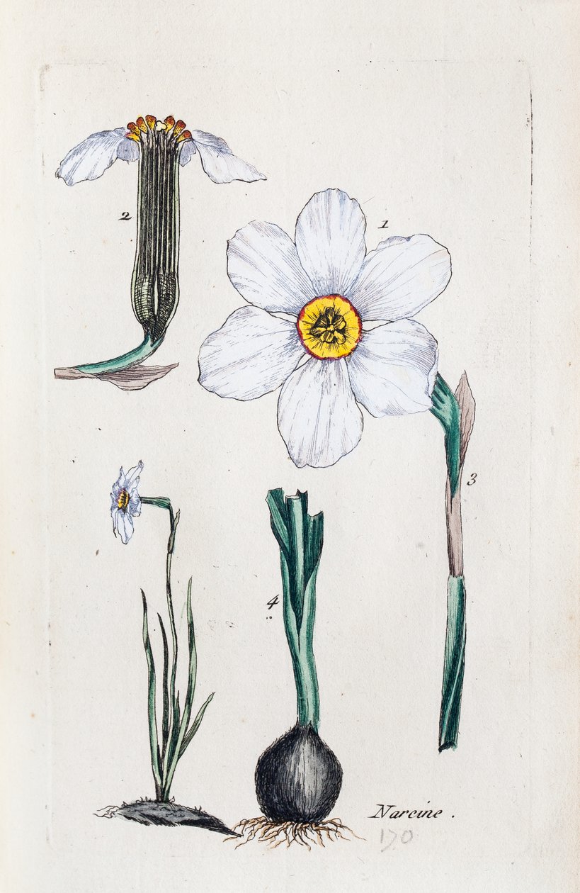 alkotó: Unknown artist