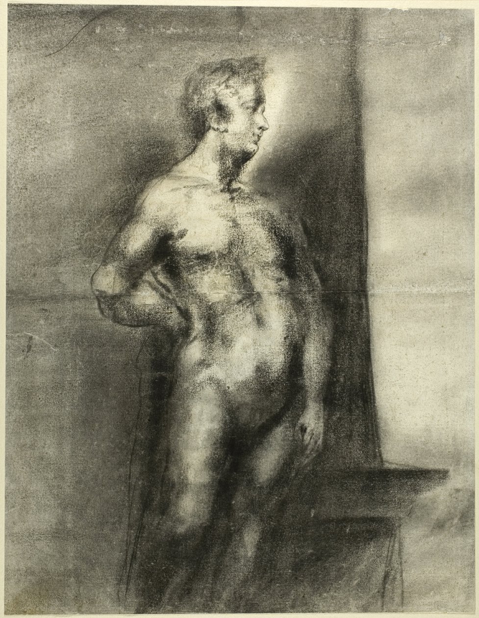 Akt férfi alak alkotó: Unknown artist