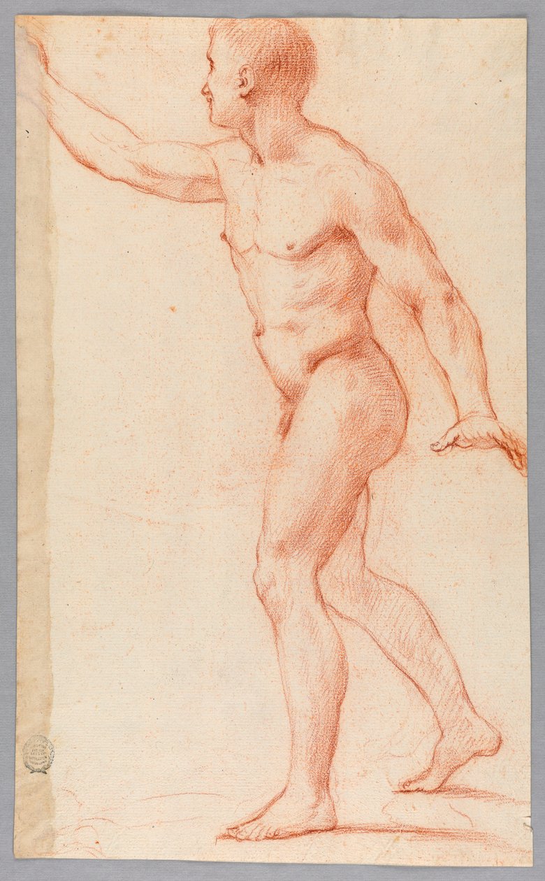Meztelen férfi alkotó: Unknown artist