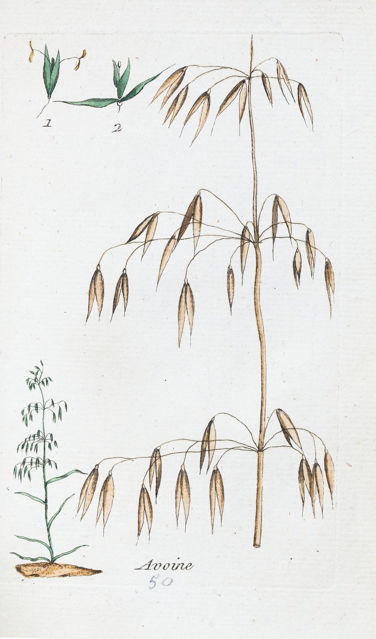  alkotó: Unknown artist