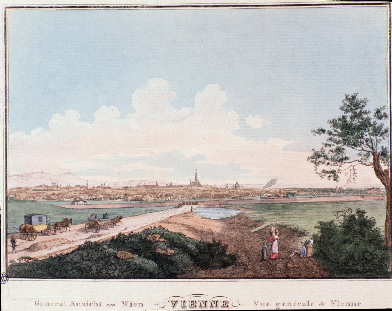 Bécs városának áttekintése a Dunán átívelő híddal. Ausztria Metszet 1830-ból Magángyűjtemény alkotó: Unknown artist