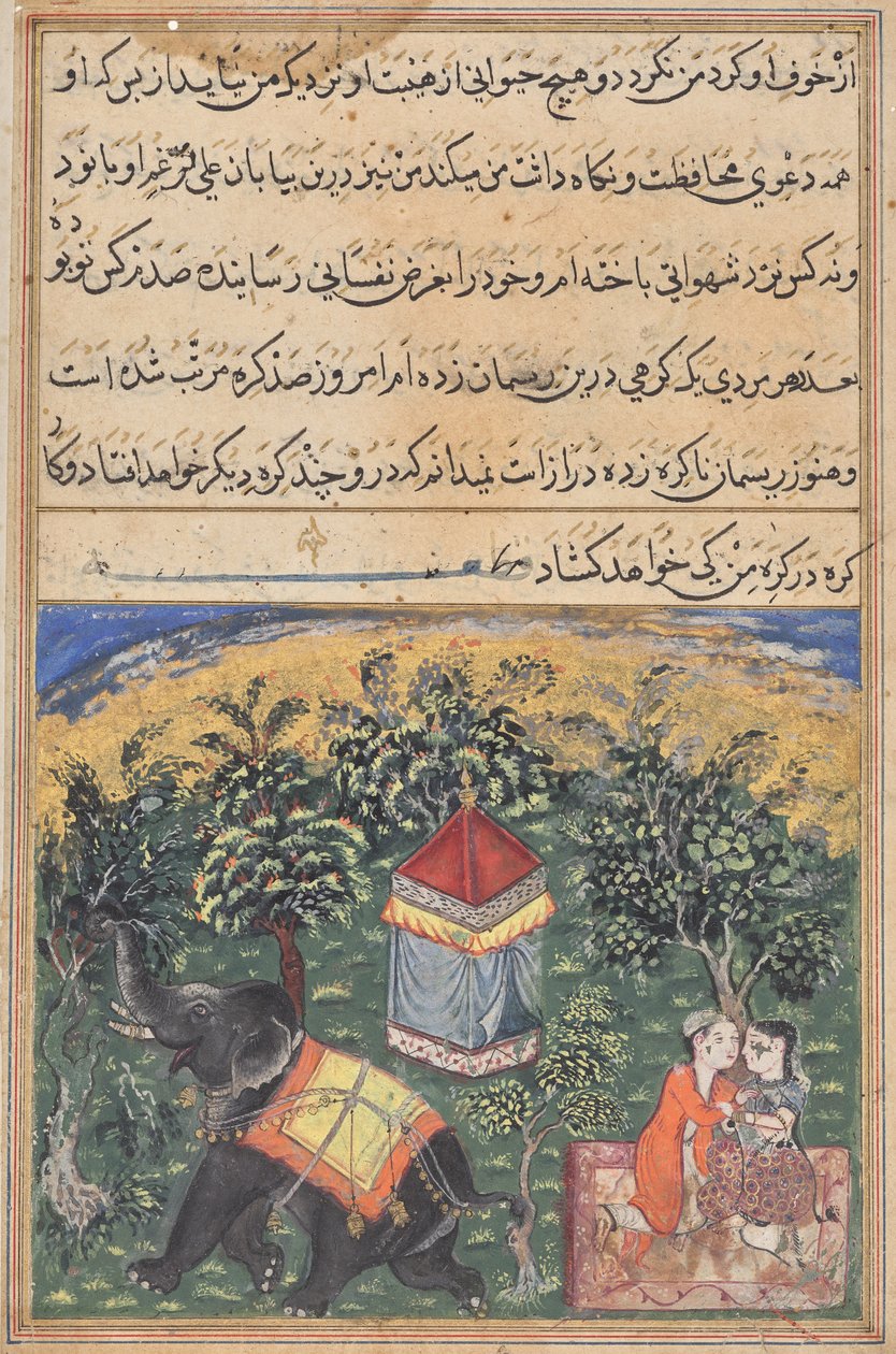 Oldal egy papagáj meséiből (Tuti-nama): szöveges oldal alkotó: Unknown artist
