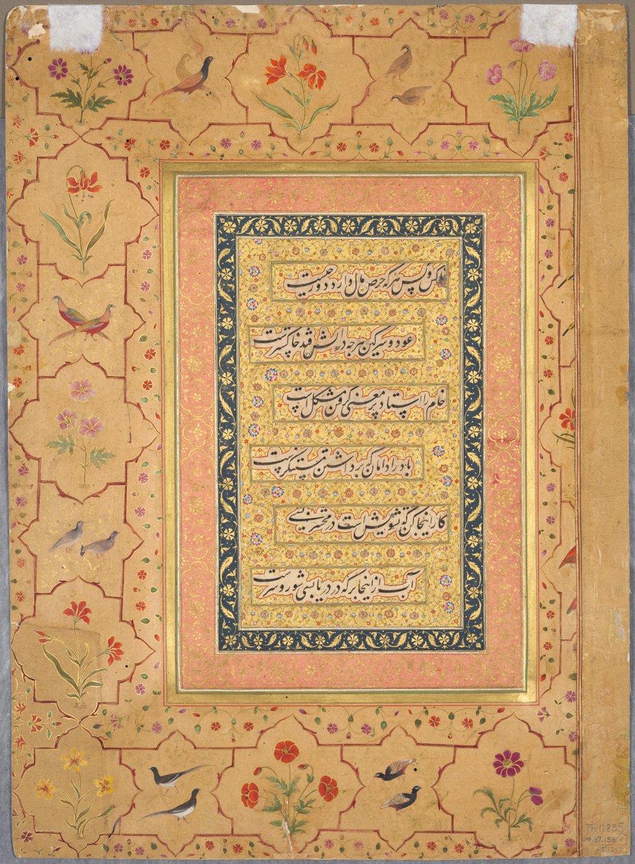 Oldal a Late Shah Jahan albumról: Kalligráfia díszítő szegéllyel keretezve pipacsokkal és madárpárokkal (verso) alkotó: Unknown artist