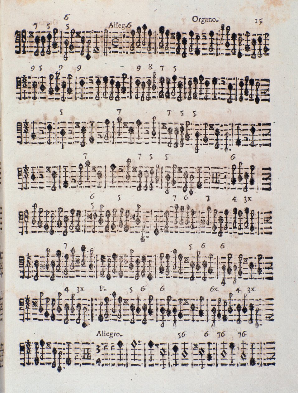A 2 hegedűre, csellóra és orgonára írt szonáta partitúrájának oldala, op. 5, Giuseppe Aldrovandini (1706) alkotó: Unknown artist