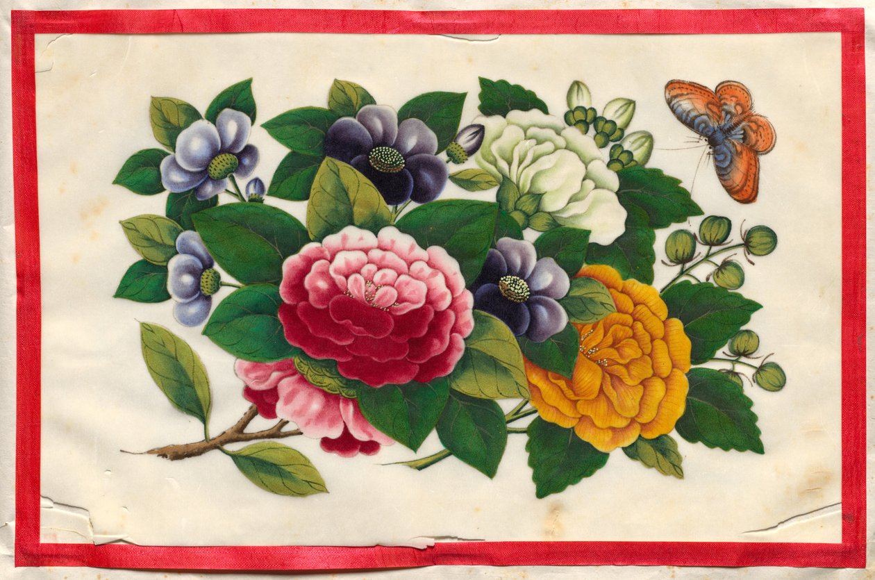 Három festmény a Virágok és pillangók illusztrált könyvéből alkotó: Unknown artist