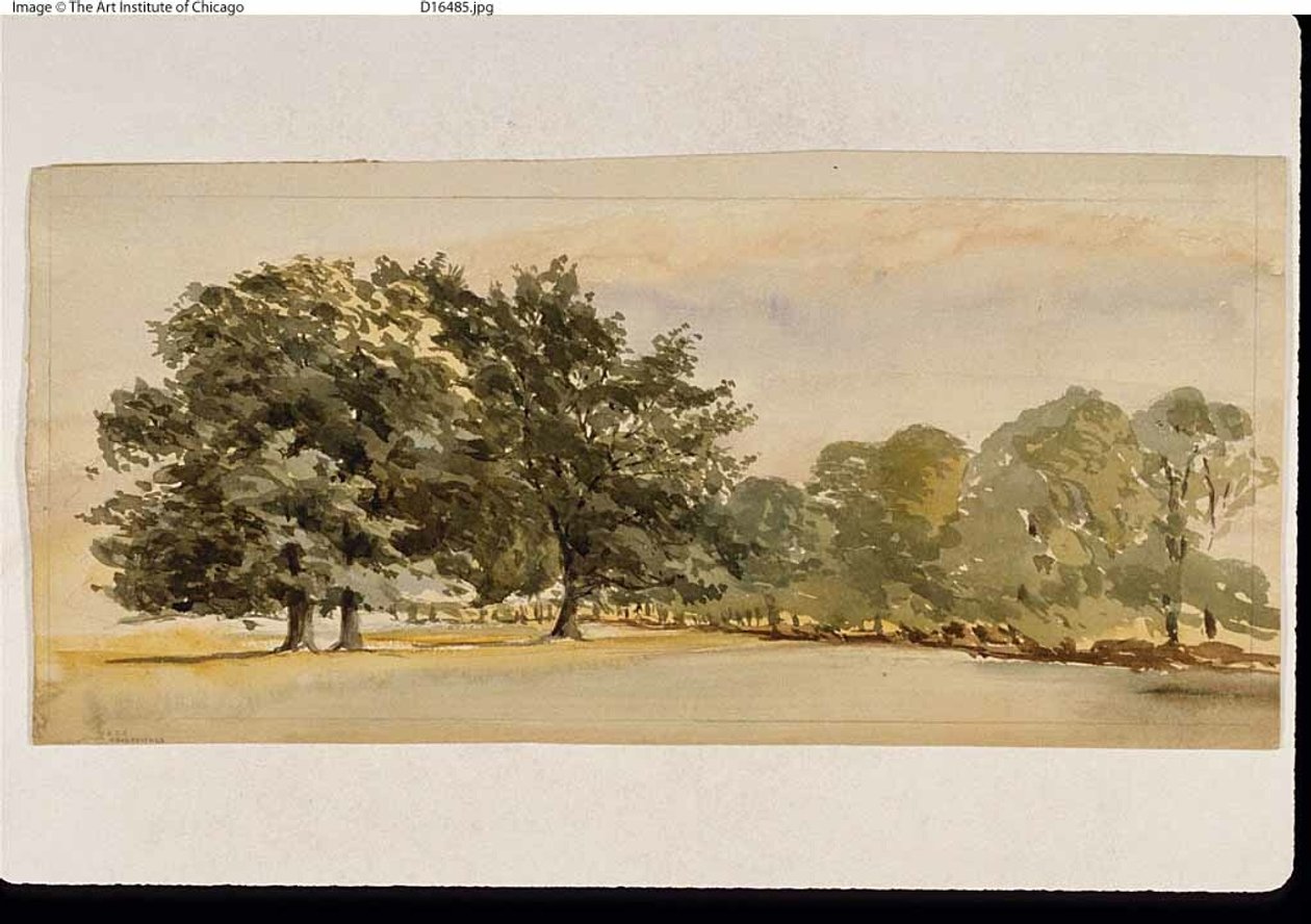 Erdős liget panorámája (recto); tájkép erdővel jobbra (verso) alkotó: Unknown artist