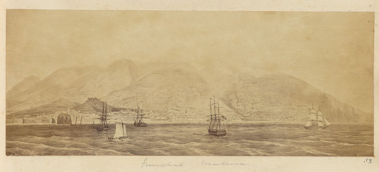 [A kikötő panorámája, Funchal, Madeira] alkotó: Unknown artist
