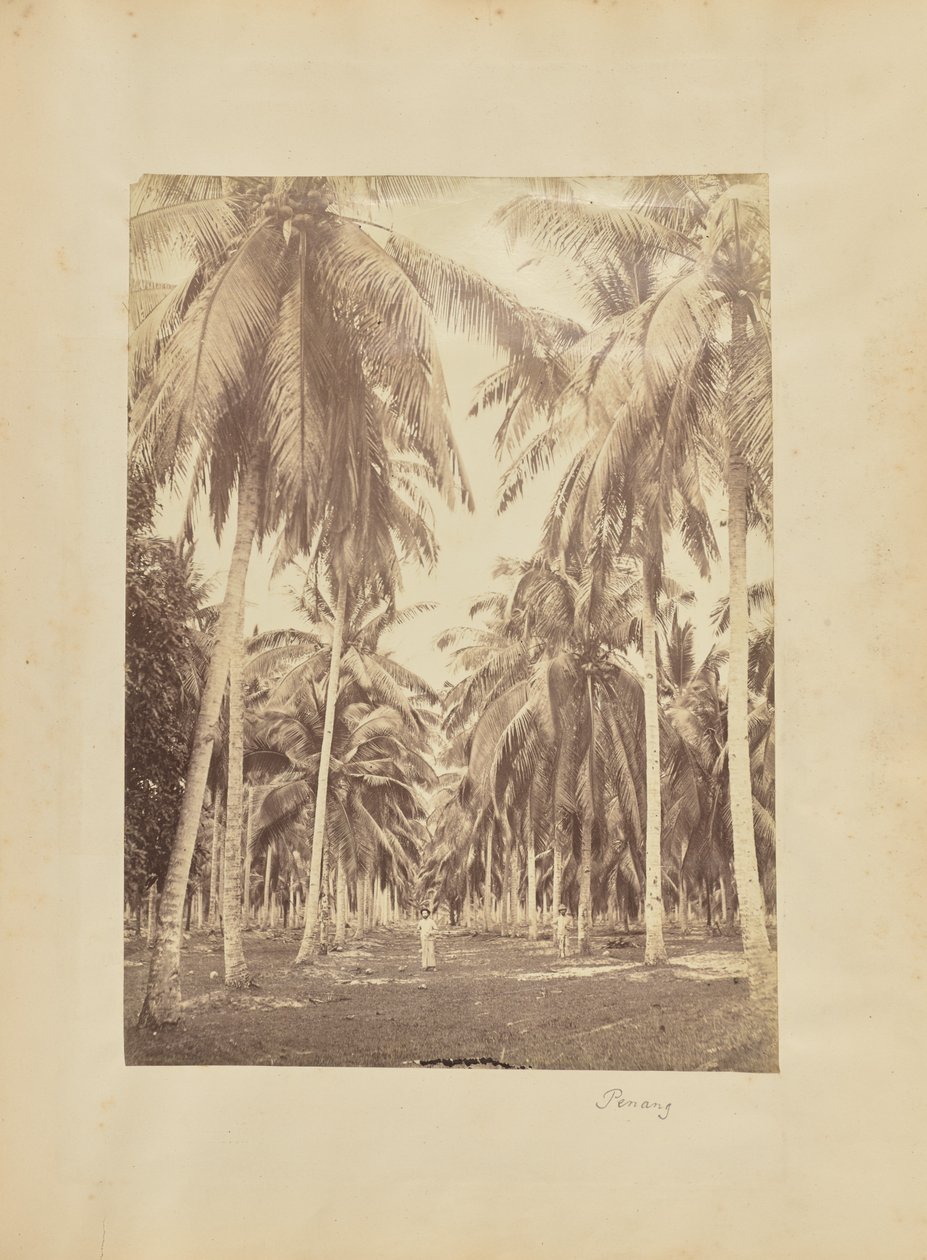 Penang alkotó: Unknown artist