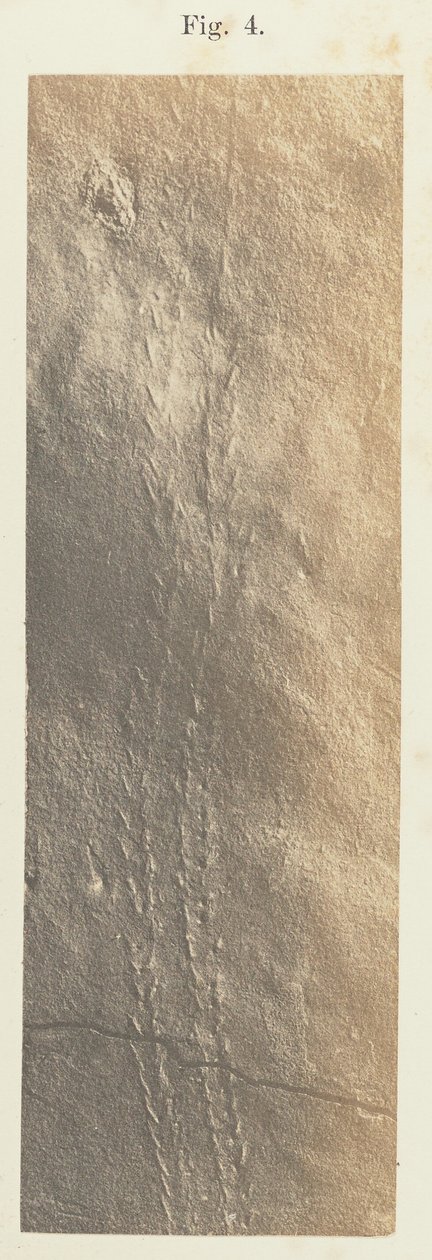 41. tábla. 4. ábra alkotó: Unknown artist