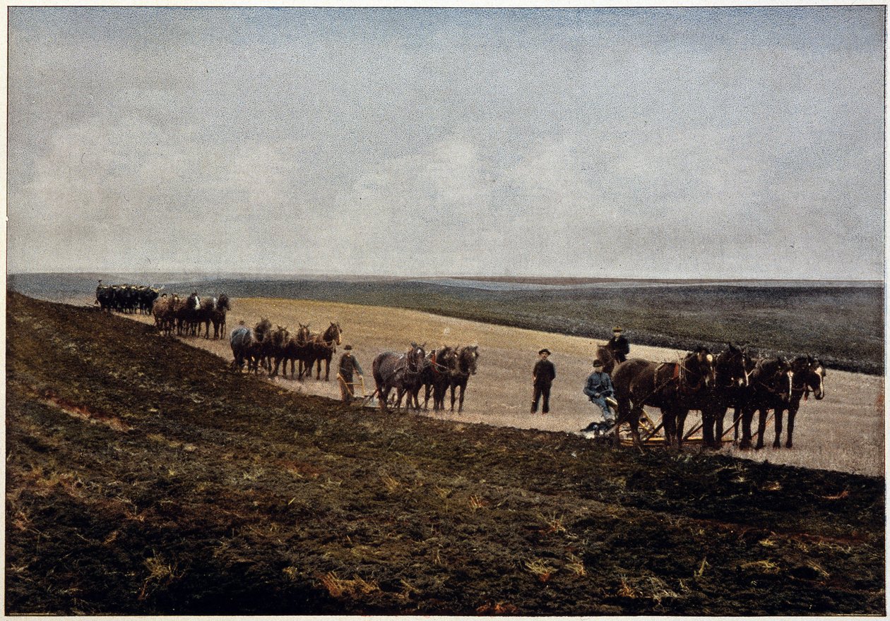 Szántás a Manitoba-síkságon (Kanada), 19. század vége alkotó: Unknown artist