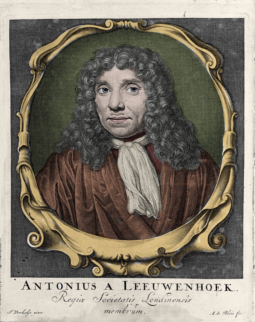 Antonie Van Leeuwenhoek vagy Anton van Leeuwenhoek, vagy Leeuwenhoek vagy Leeuwenhoeck portréja. holland természettudós (1632-1723). 1722-es metszet. alkotó: Unknown artist