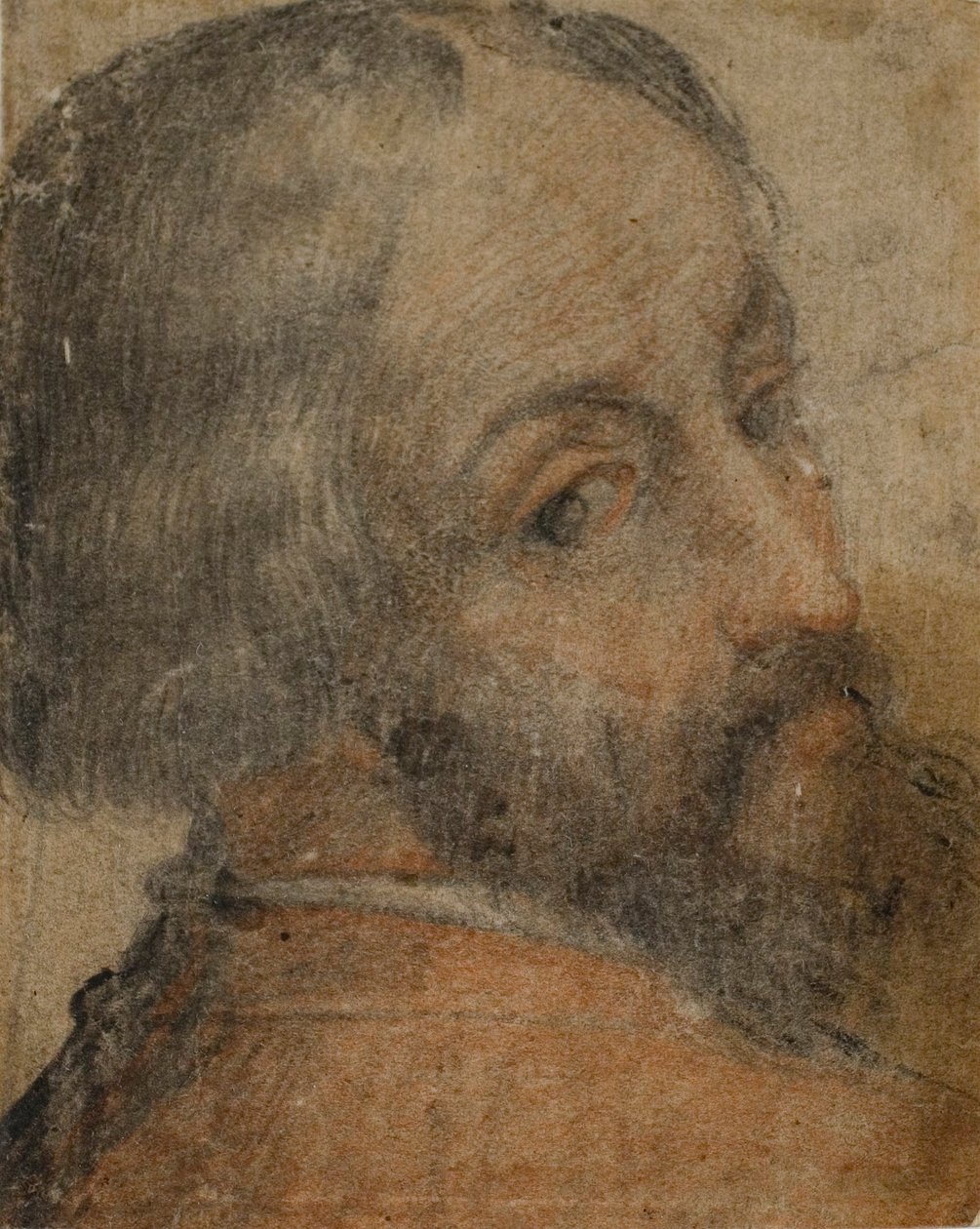 Szakállas férfi portréja (Lodovico Ariosto) alkotó: Unknown artist