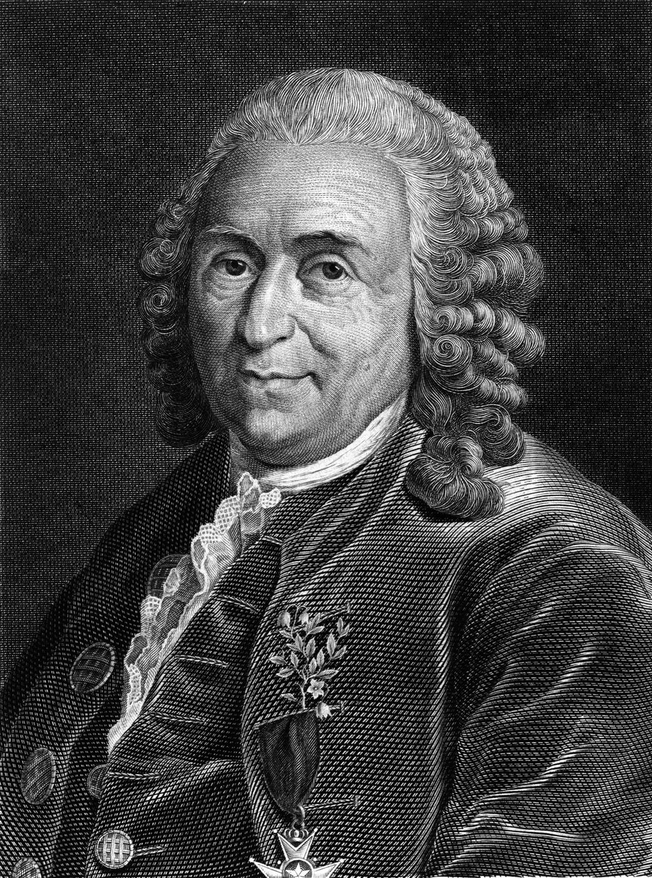 Carl Von Linné svéd természettudós és író (1707 - 1778) portréja. SD. századi metszet. alkotó: Unknown artist