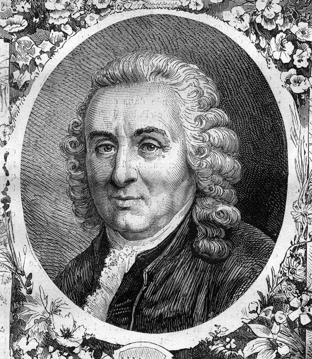 Charles Linne (Carl von Linne, Carl Linnaeus) (1707-1778) svéd természettudós portréja. Metszet 1878-ból. alkotó: Unknown artist