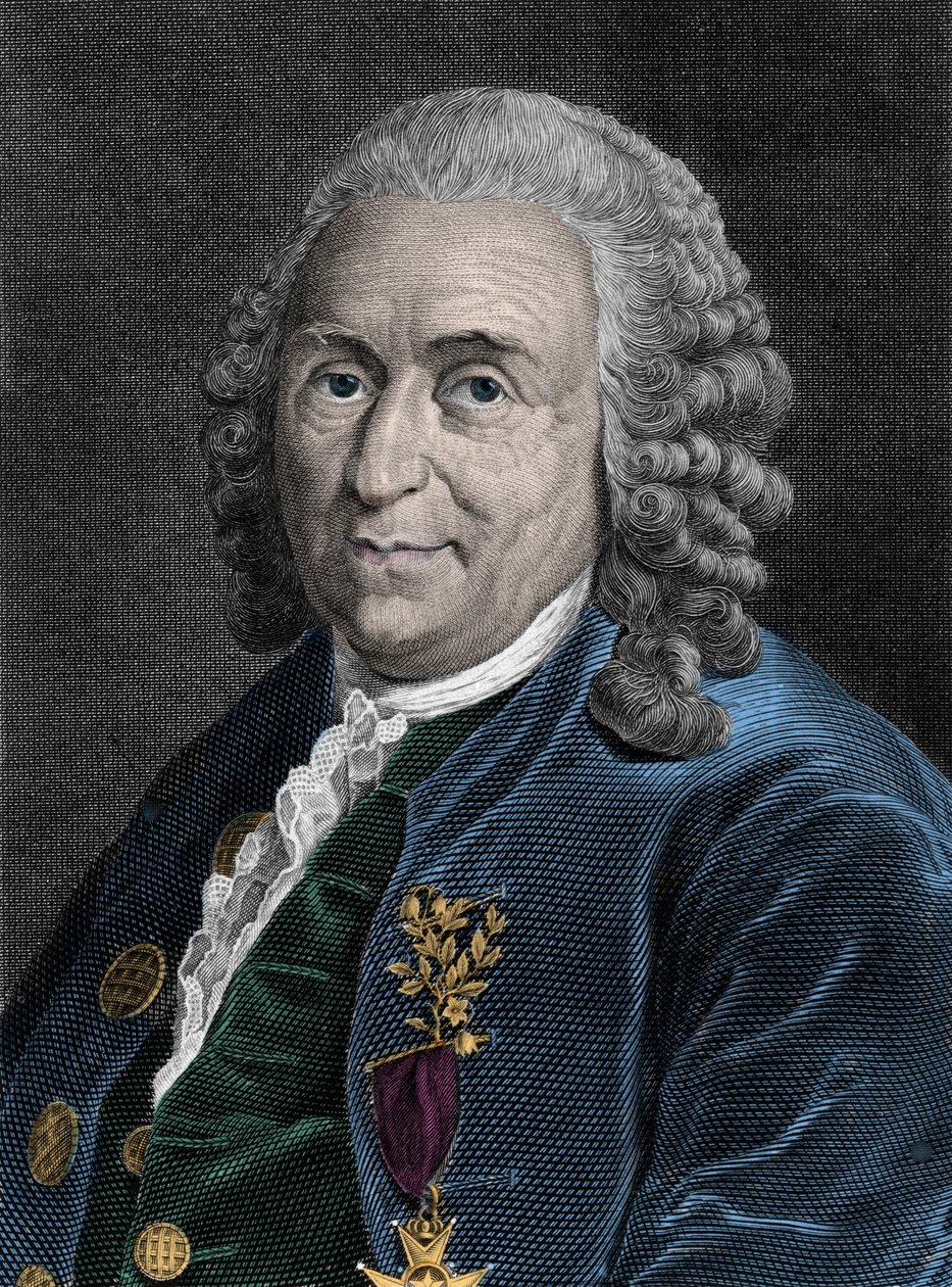Charles Linne (Carl von Linne, Linneus 1707-1778) svéd természettudós portréja. századi metszet. alkotó: Unknown artist