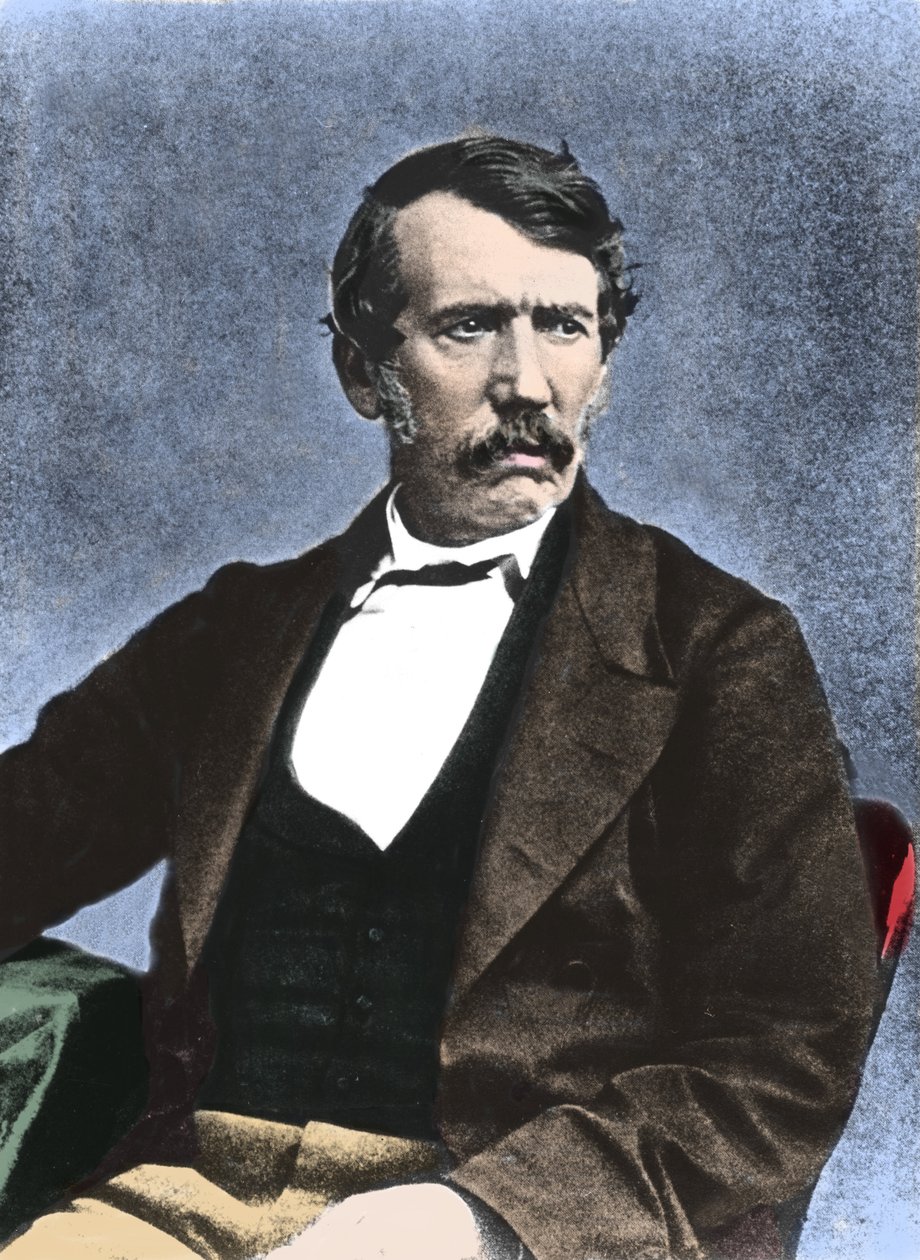 David Livingstone (1813-1873) skót misszionárius és felfedező portréja. alkotó: Unknown artist